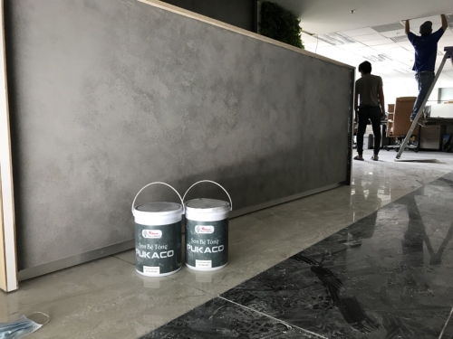 Levis Concrete Paint Project 
