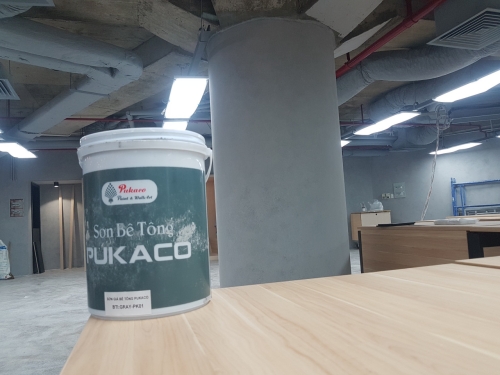 Samsung Concrete Paint Project 