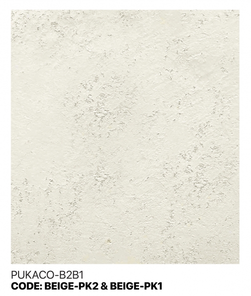 PUKACO-B2B1
