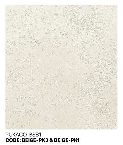 PUKACO-B3B1