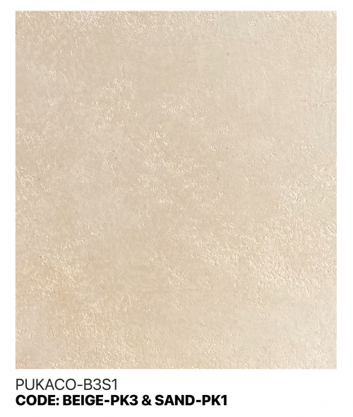 PUKACO-B3S1