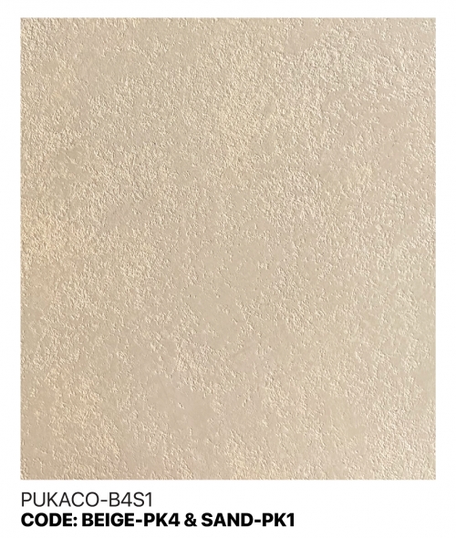 PUKACO-B4S1