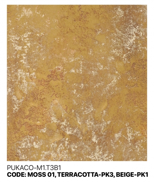 PUKACO-M1.T3B1