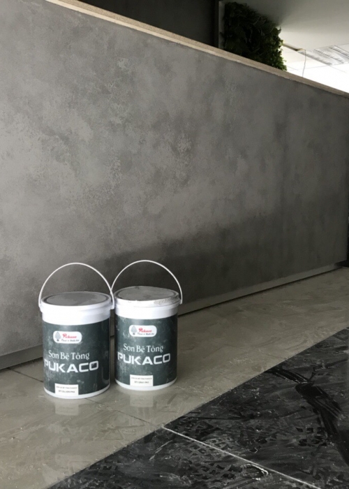 Levis Concrete Paint Project 