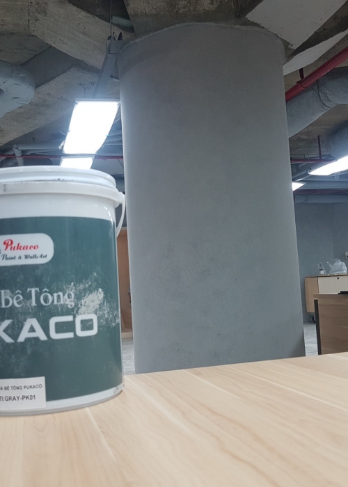 Samsung Concrete Paint Project 