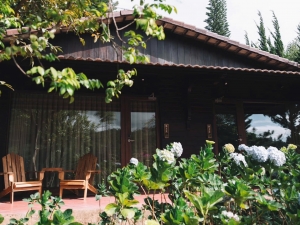 Zen Valley Da Lat | Sand-Toned Concrete Effect Paint - PUKACO